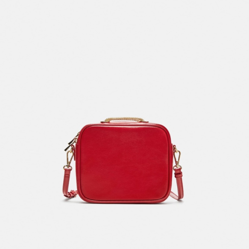 NWT • Zara • Detailed Crossbody Bag with Chain
